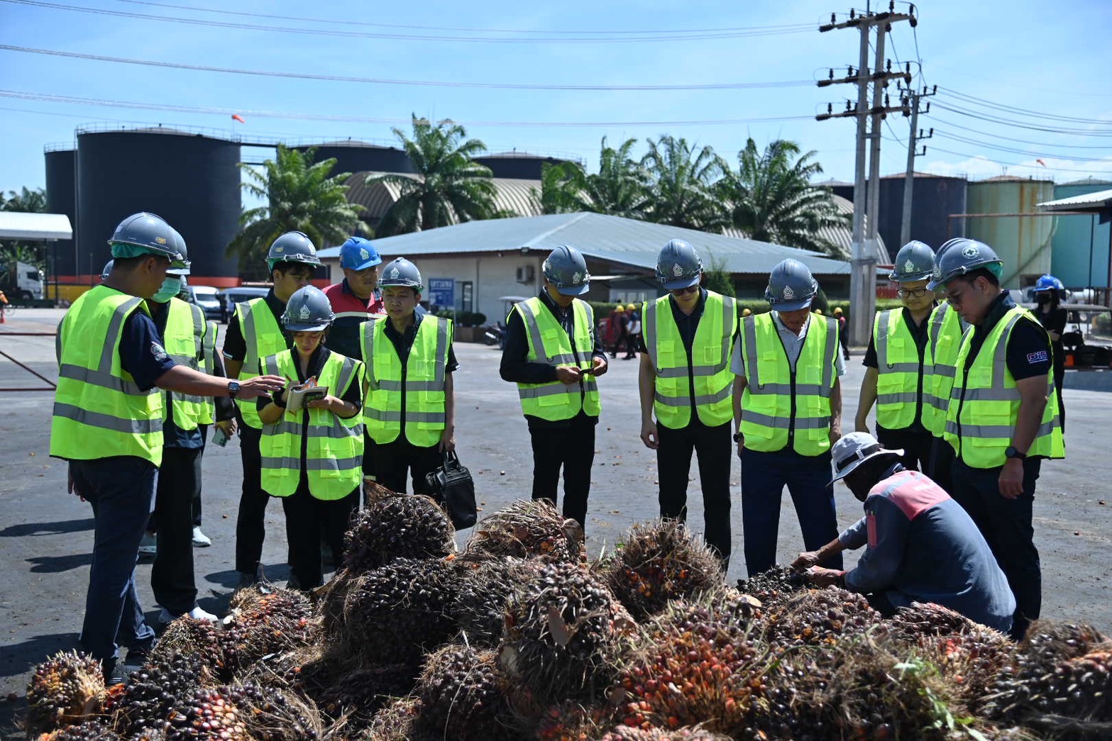 ข่าวเลขที่ 77/2569 DIT ลงพื้นที่สุราษฎร์ฯ ติดตามสถานการณ์ปาล์มน้ำมัน หารือสภาเกษตรกรฯ วางแผนบริหารรับซื้อช่วงผลผลิตกระจุกตัว (16 กุมภาพันธ์ 2569)