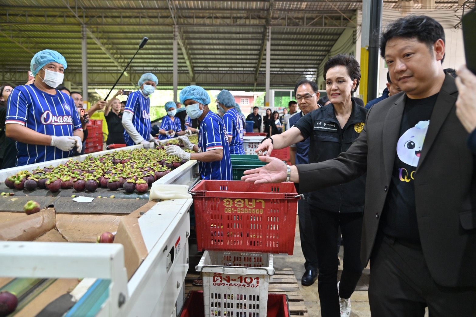 พาณิชย์ ลงพื้นที่ติดตามสถานการณ์มังคุด  เชื่อมโยงตลาด ผลักดันส่งออก   รับมือผลผลิตออกมากช่วง พ.ค.-มิ.ย.