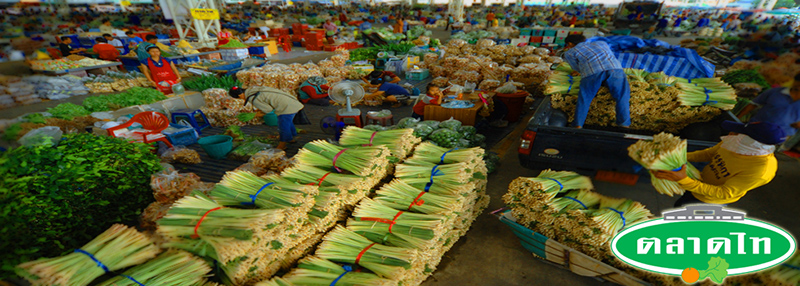 45112_ผัก.jpg