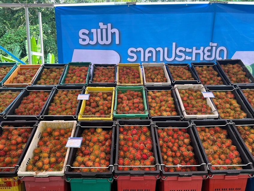 ธงฟ้าราคาประหยัด ต้อนรับวันแรงงาน @ ชลบุรี