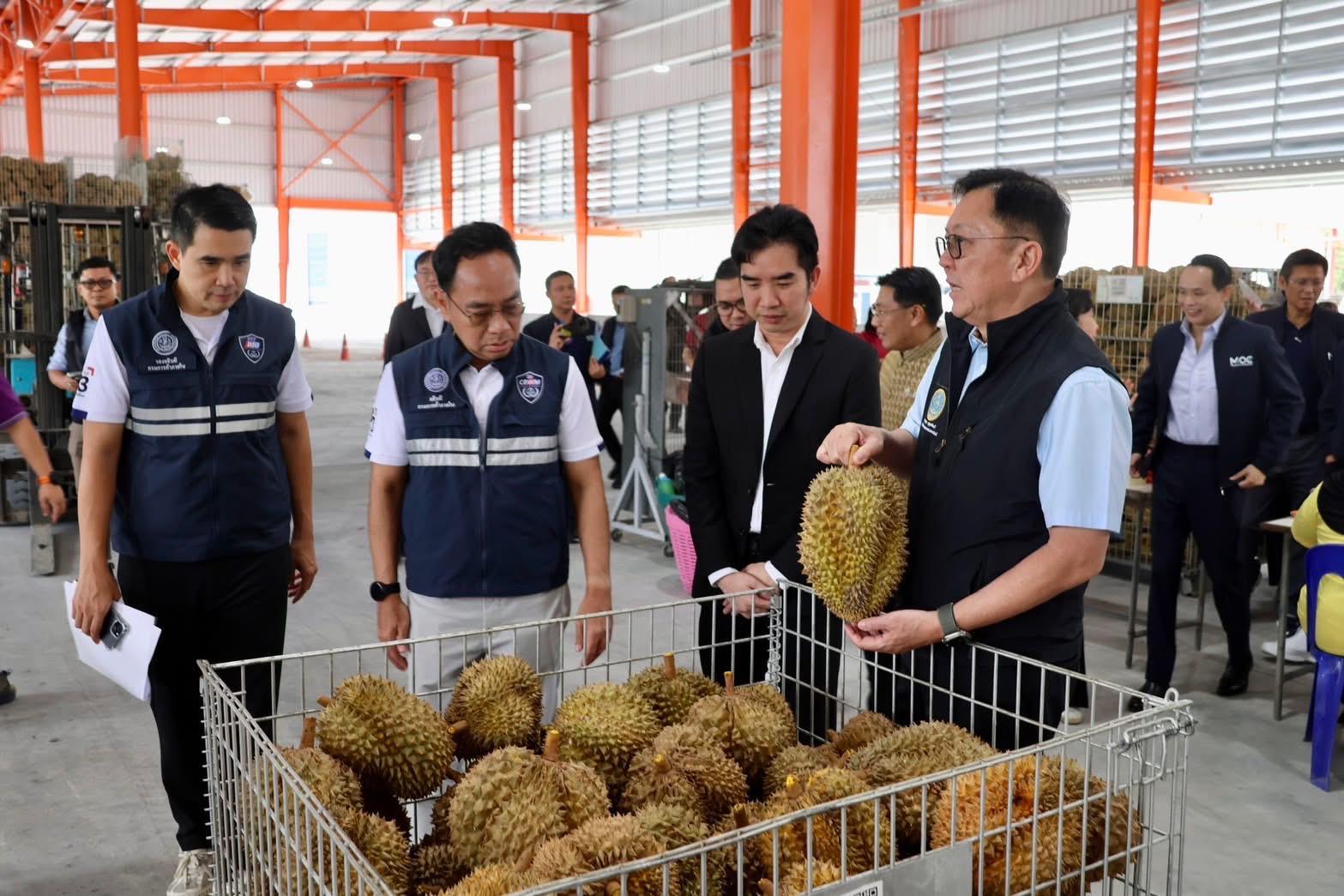 “พาณิชย์พึ่งได้” หนุนทุเรียนเบตง  ราคาขยับสูง เสริมเครือข่ายผู้ซื้อ–ผู้ขายเข้มแข็ง