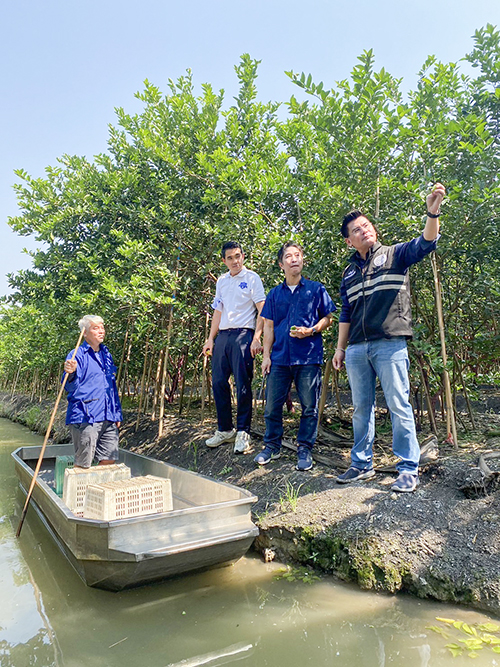กรมการค้าภายในติดตามสถานการณ์ การผลิตมะนาวเเละการรับซื้อจากแหล่งผลิต