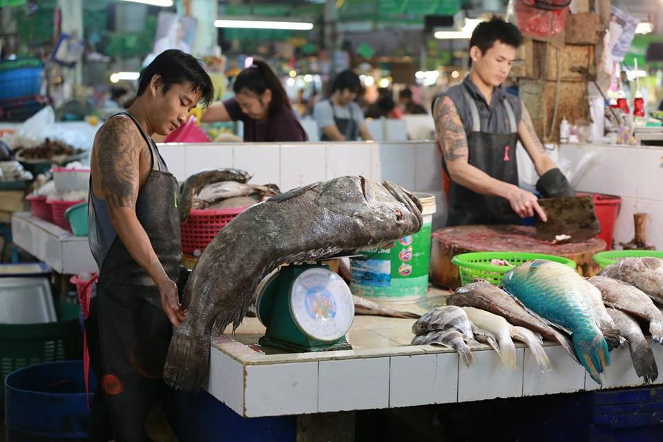 21796_ปลาสด.jpg