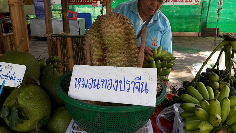23055_แผงค้า.jpg