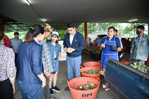 พาณิชย์ติดตามการค้าลำไยและสับปะรดภาคเหนือ