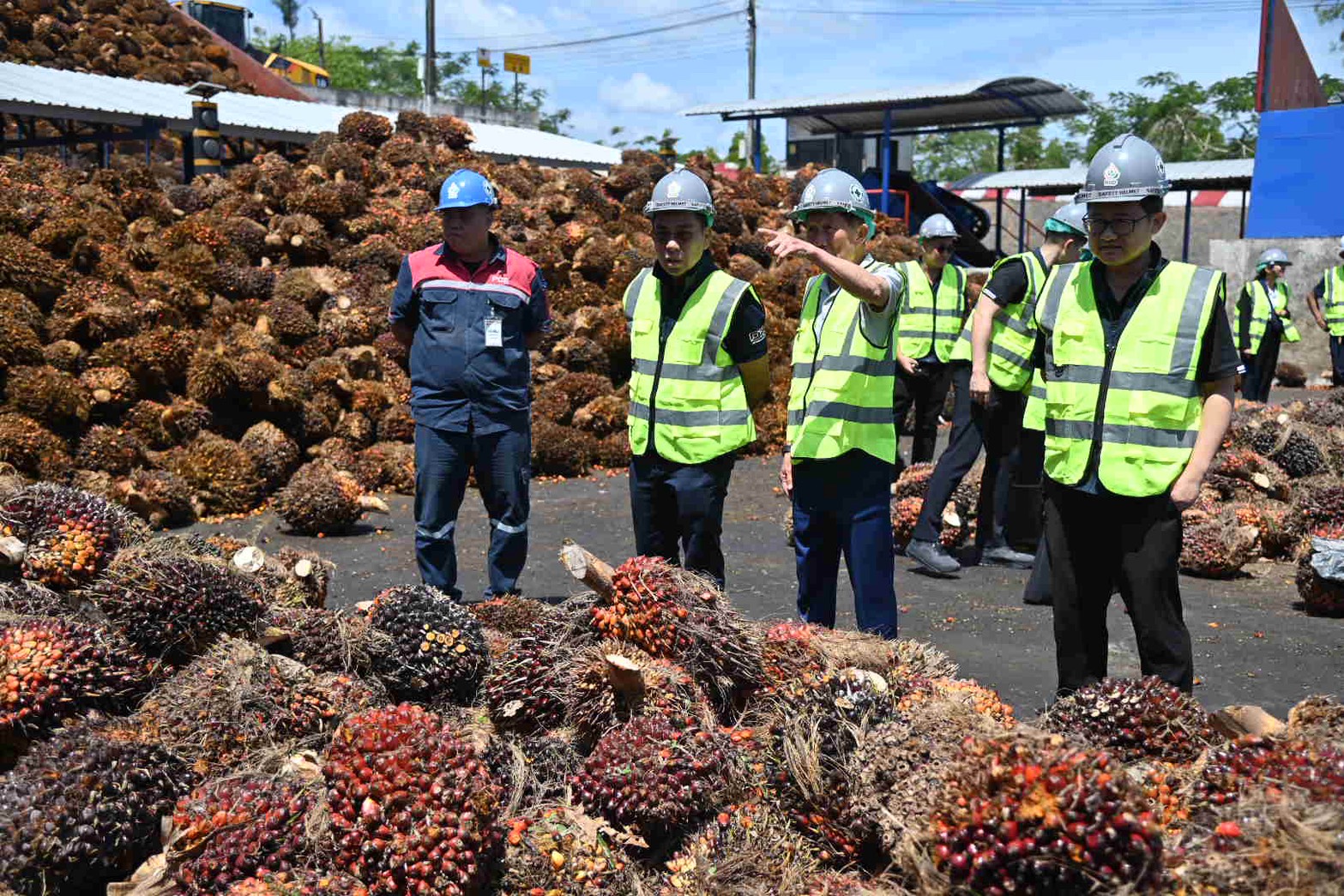 ข่าวเลขที่ 77/2569 DIT ลงพื้นที่สุราษฎร์ฯ ติดตามสถานการณ์ปาล์มน้ำมัน หารือสภาเกษตรกรฯ วางแผนบริหารรับซื้อช่วงผลผลิตกระจุกตัว (16 กุมภาพันธ์ 2569)