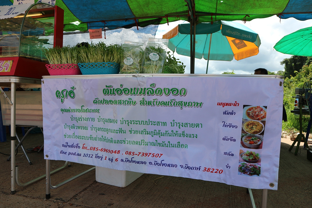 67696_แผงค้าผลไม้.jpg