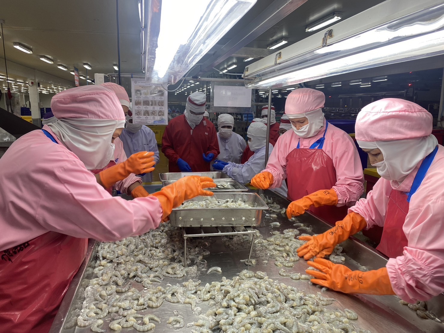 กรมการค้าภายในติดตามสถานการณ์ด้านการผลิตและการตลาดการส่งออกกุ้งขาว