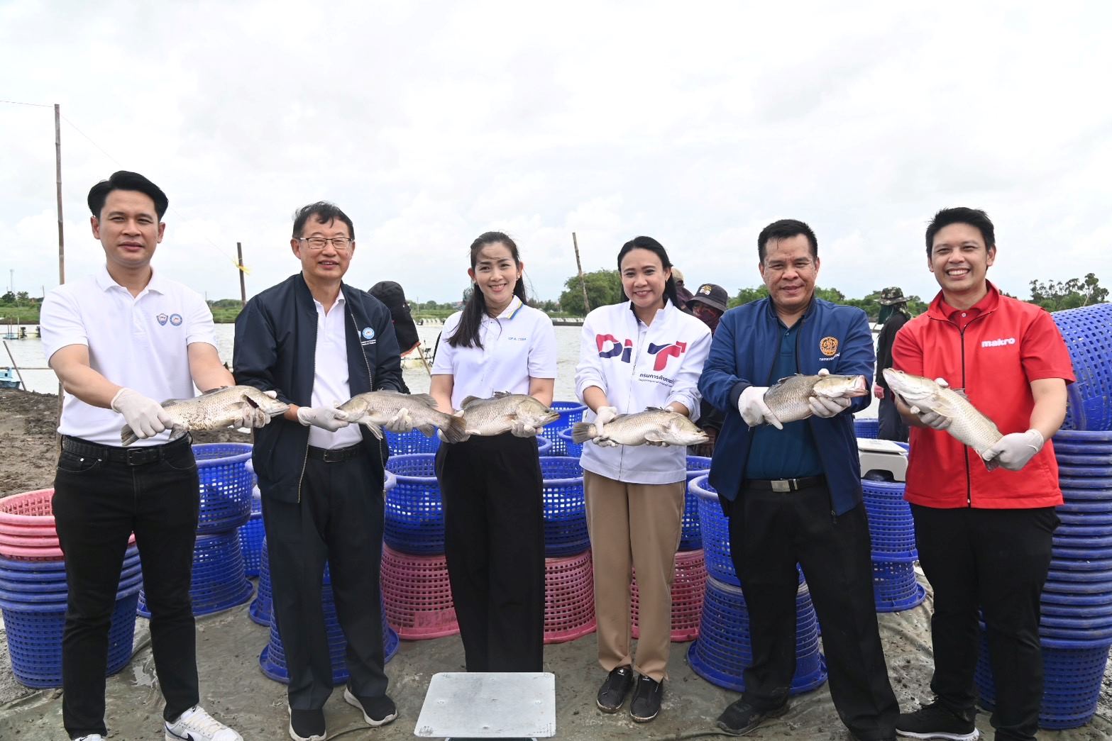 พาณิชย์ จับมือเอกชนปล่อยคาราวาน รับซื้อปลากะพง พร้อมขยายกิจกรรมรณรงค์บริโภคกุ้ง ช่วยเกษตรกร