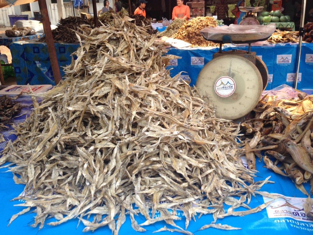 11039_สินค้าที่จำหน่าย 2.jpg