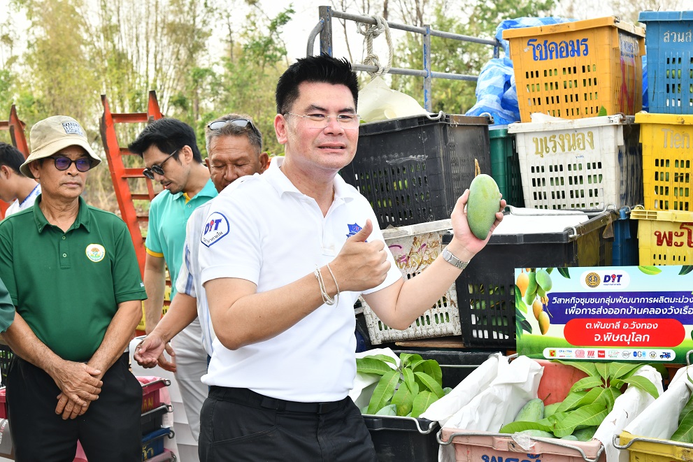 "พาณิชย์” ลงพื้นที่ติดตามการรับซื้อมะม่วง พิษณุโลก สุโขทัย พิจิตร เกษตรกรยิ้มออก เผยปีนี้ราคาดีมาก