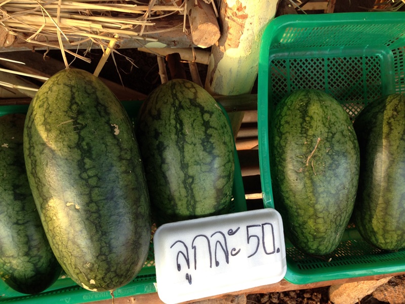 11392_สินค้าในตลาด 1.jpg
