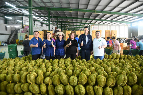 พาณิชย์ลงพื้นที่ติดตามสถานการณ์ผลไม้ภาคใต้ พร้อมร่วมงานวันเปิดฤดูเก็บเกี่ยวผลผลิตทุเรียน จังหวัดชุมพร 