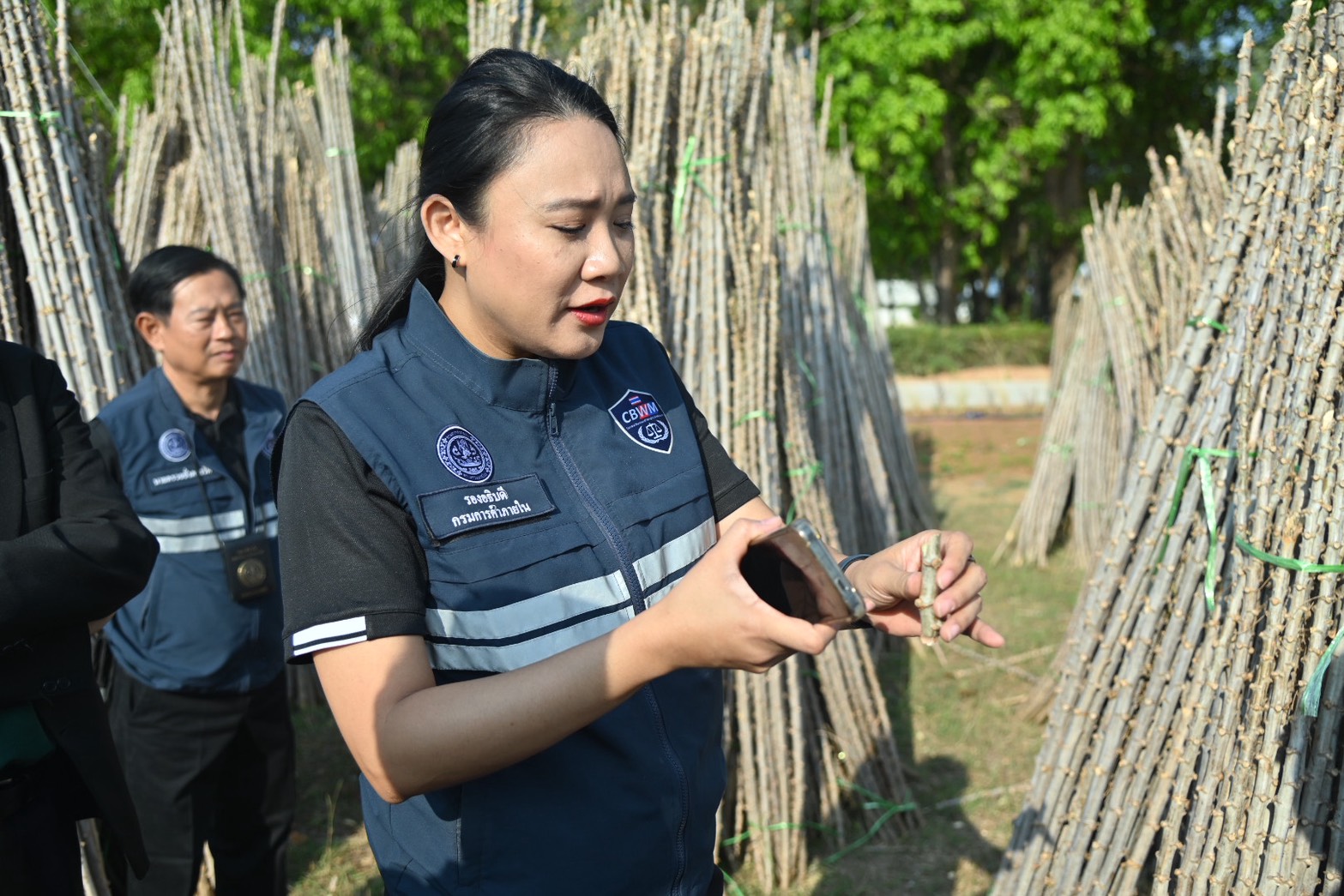 ข่าวเลขที่ 89/2569 DIT เร่งกระจายท่อนพันธุ์มันสำปะหลังคุณภาพ 5 ล้านลำ ลดความเสี่ยงโรคใบด่าง มุ่งเป้าช่วยเกษตรกรเพิ่มผลผลิต -ลดต้นทุน สร้างความเข้มแข็งให้กับอุตสาหกรรมในระยะยาว (14 มีนาคม 2569)