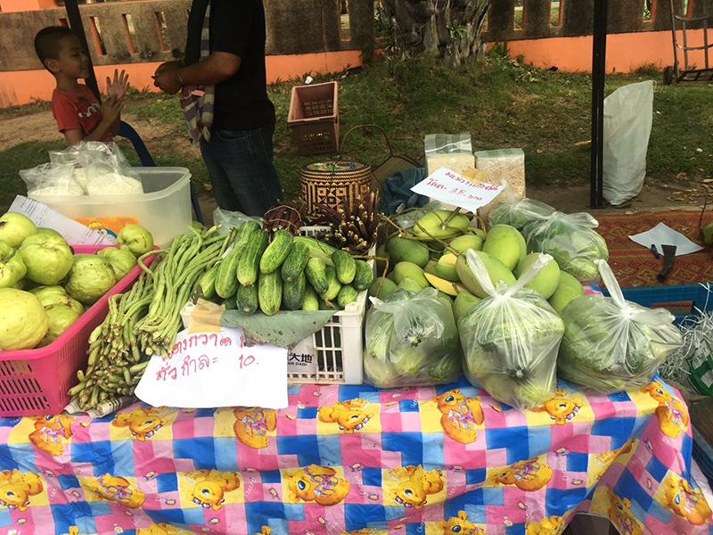 46138_ร้านขายผัก 2.jpg