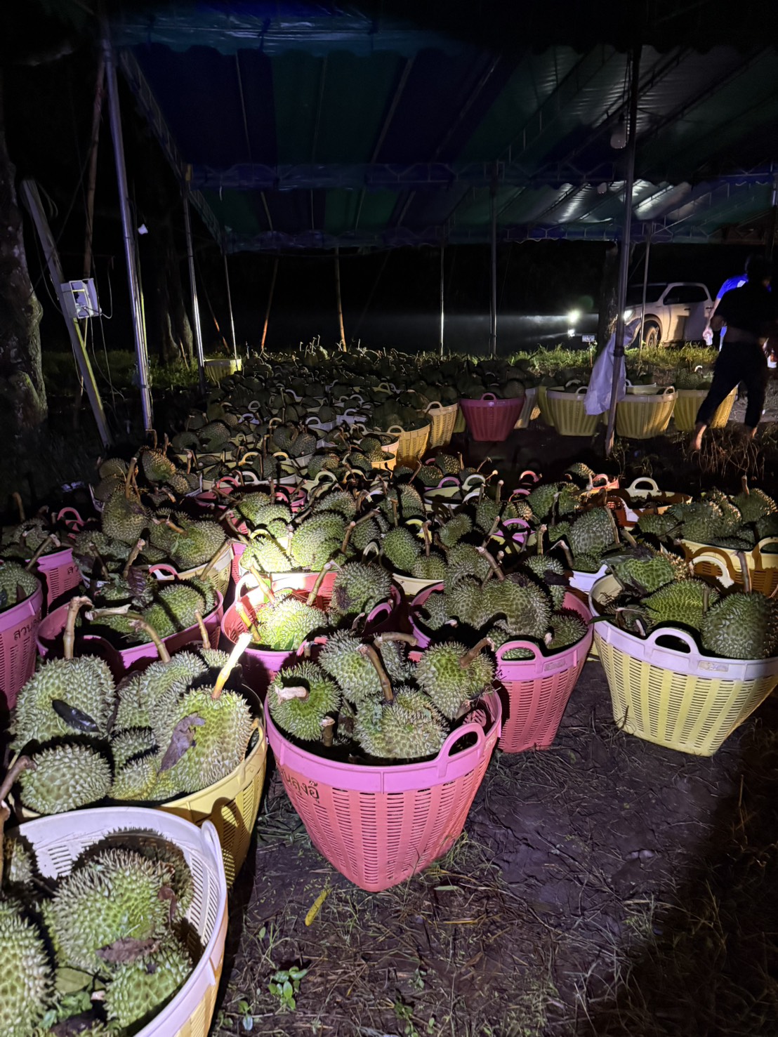 ข่าวเลขที่ 127/2569 “พาณิชย์“ ห่วงชาวสวนจันทบุรี สั่งเร่งสำรวจความเสียหายและช่วยเหลือเกษตรกรโดยเร็วที่สุด (1 พฤษภาคม 2569)