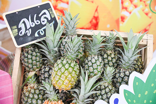 พาณิชย์นำผู้ประกอบการซื้อสับปะรดเชียงรายเป้าหมาย 16,500 ตัน
