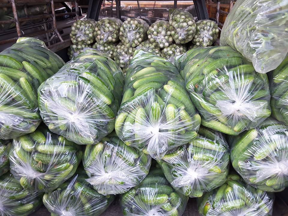 21929_สินค้าผัก 2.jpg