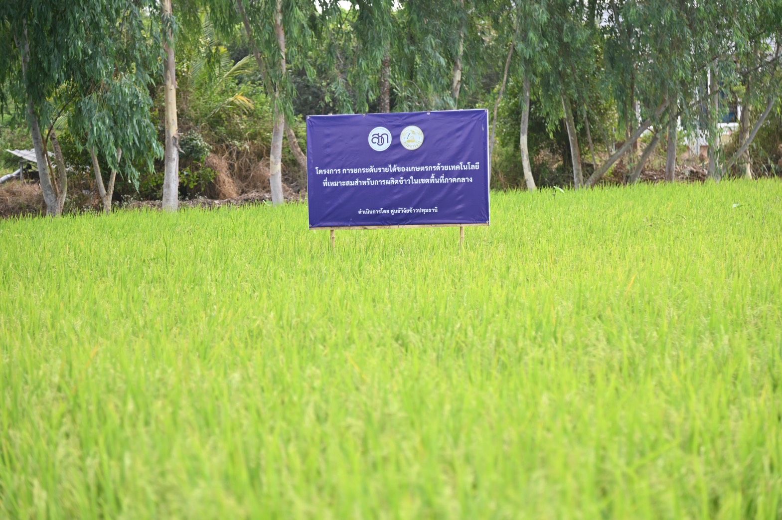 DIT สำรวจข้อมูลกลุ่มเกษตรกรข้าวประณีต พร้อมติดตามสถานการณ์ปริมาณและราคาปุ๋ยเคมี