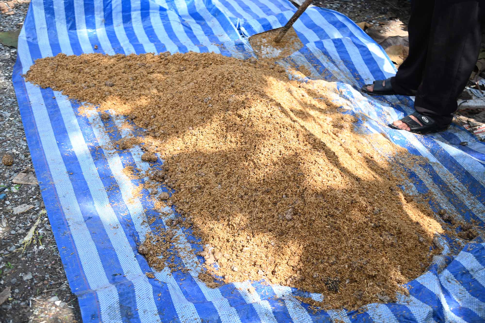 พาณิชย์ลงพื้นที่ติดตามสถานการณ์สินค้าปุ๋ยเคมี