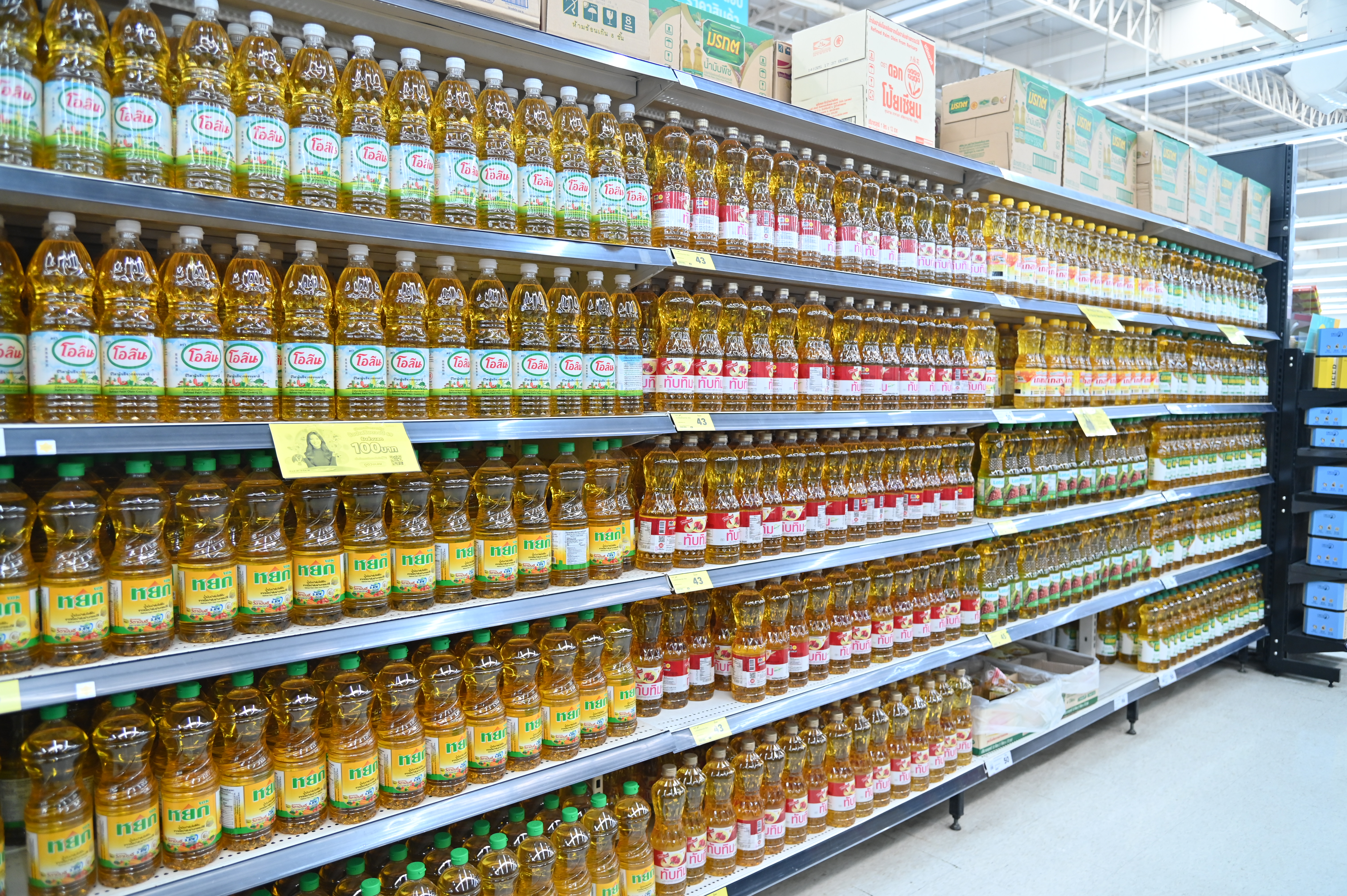 ข่าวเลขที่ 93/2569 “ค้าภายใน” เกาะติดสถานการณ์ปาล์ม เตรียมชงเข้มมาตรการสินค้าควบคุม ย้ำสต๊อกเพียงพอทั้งบริโภคและภาคพลังงานตามนโยบายรัฐ (20 มีนาคม 2569)