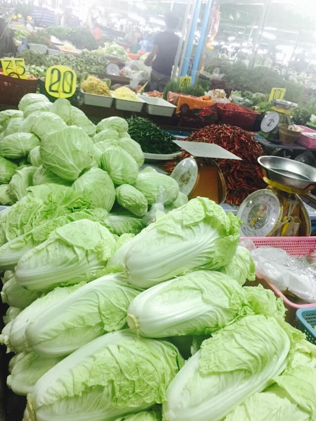 22015_แผงผักกาดขาว.jpg