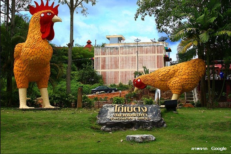21864_ภาพไก่เบตง.JPG