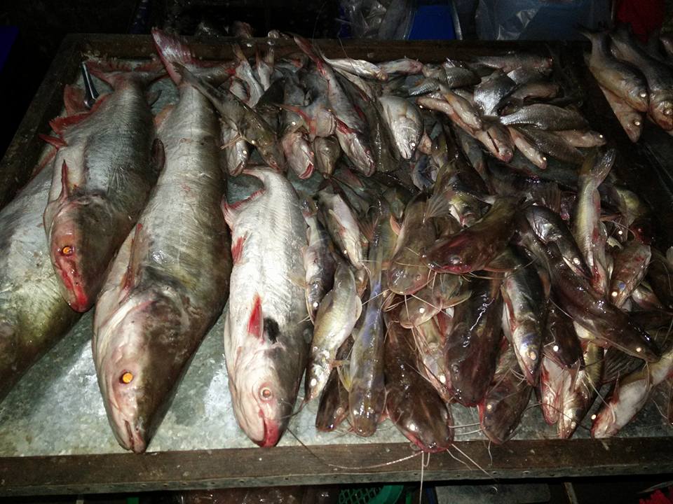 44910_แผงค้า อาหารสด.jpg