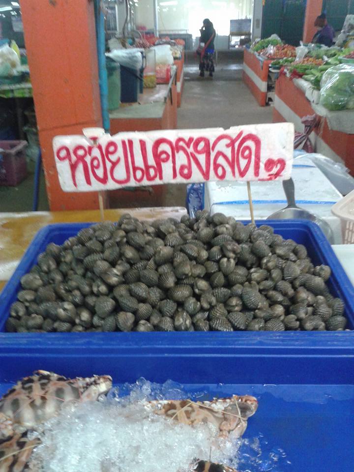 23267_แผงค้าอาหารสด.jpg