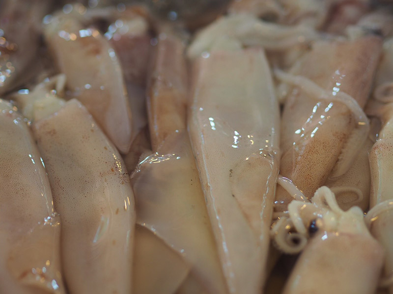 45735_ปลาหมึกสด.jpg