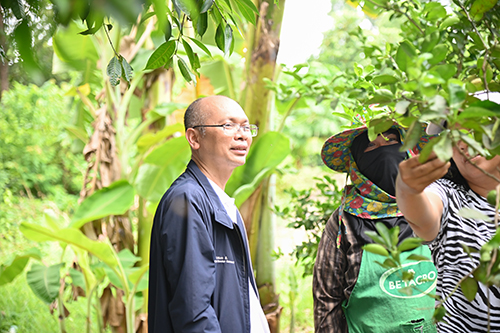 ติดตามสถานการณ์และเชื่อมโยงกระจายมะนาว