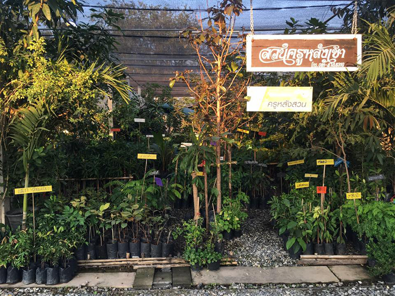 57117_สวนต้นไม้.jpg