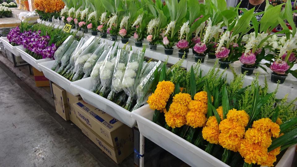 78134_แผงค้าไม้ดอก.jpg