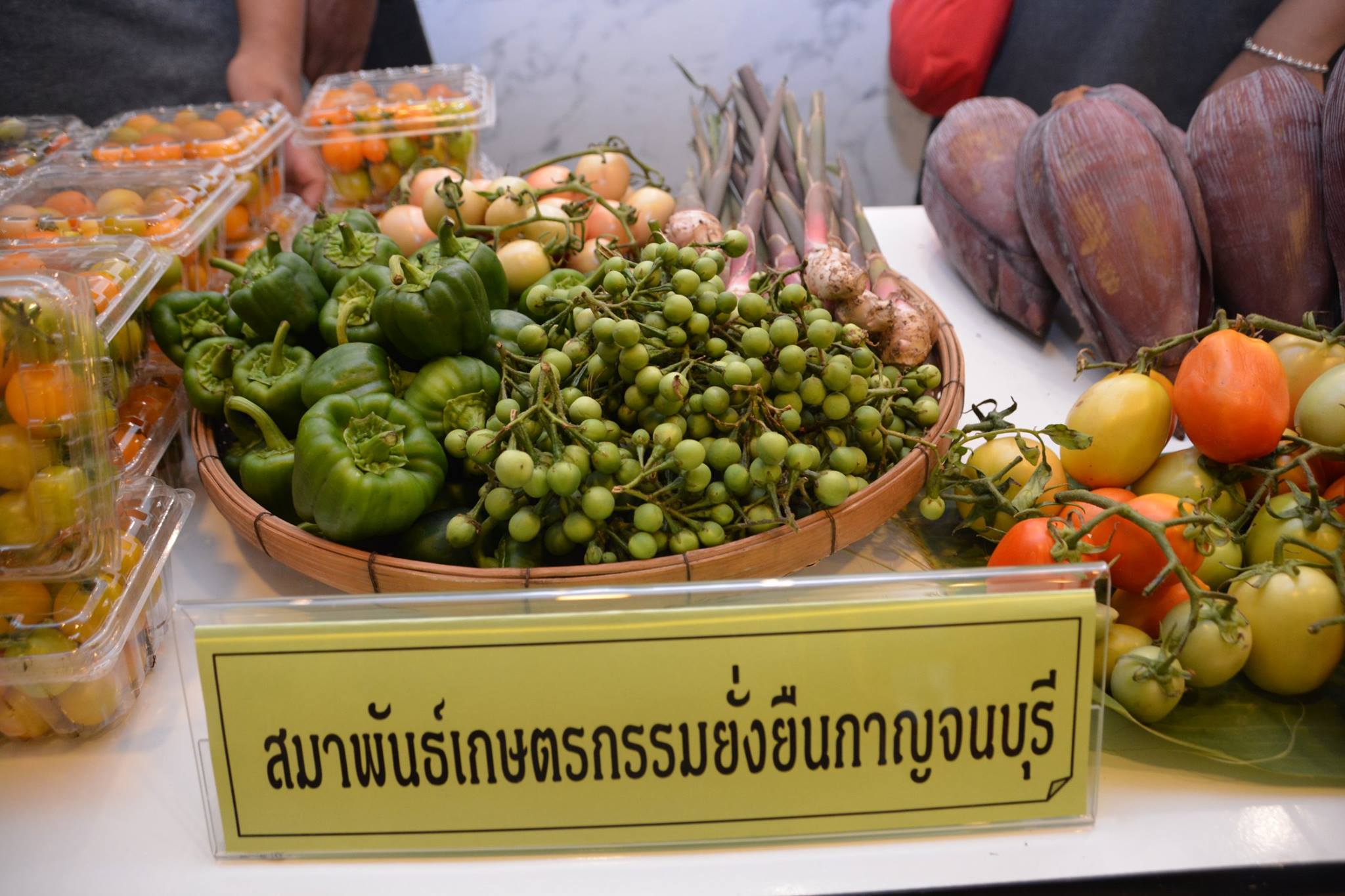 กรมการค้าภายในจัดการประชุมการเชื่อมโยงตลาดสินค้าเกษตรอินทรีย์แบบมีส่วนร่วมประชารัฐ