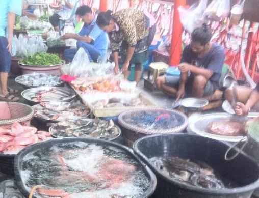 44660_ร้านขายปลา.JPG