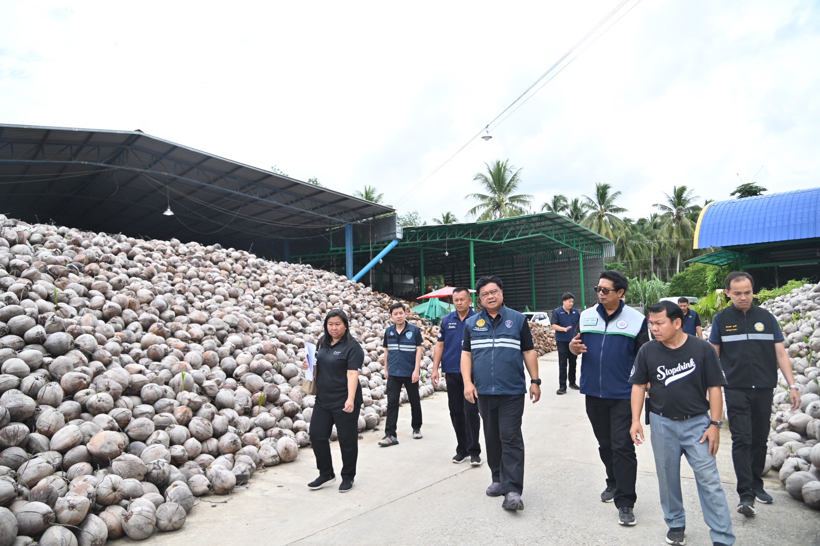 DIT ติดตามสถานการณ์มะพร้าว ในโครงการการดูดซับมะพร้าวผลแก่ ปี 2569