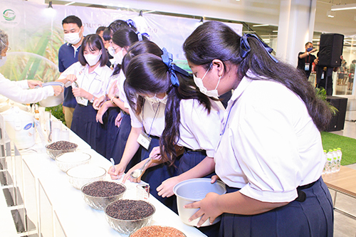 โครงการรณรงค์บริโภคข้าวไทย