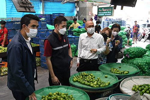 ตรวจติดตามสถานการณ์ราคาผักชี-มะนาว