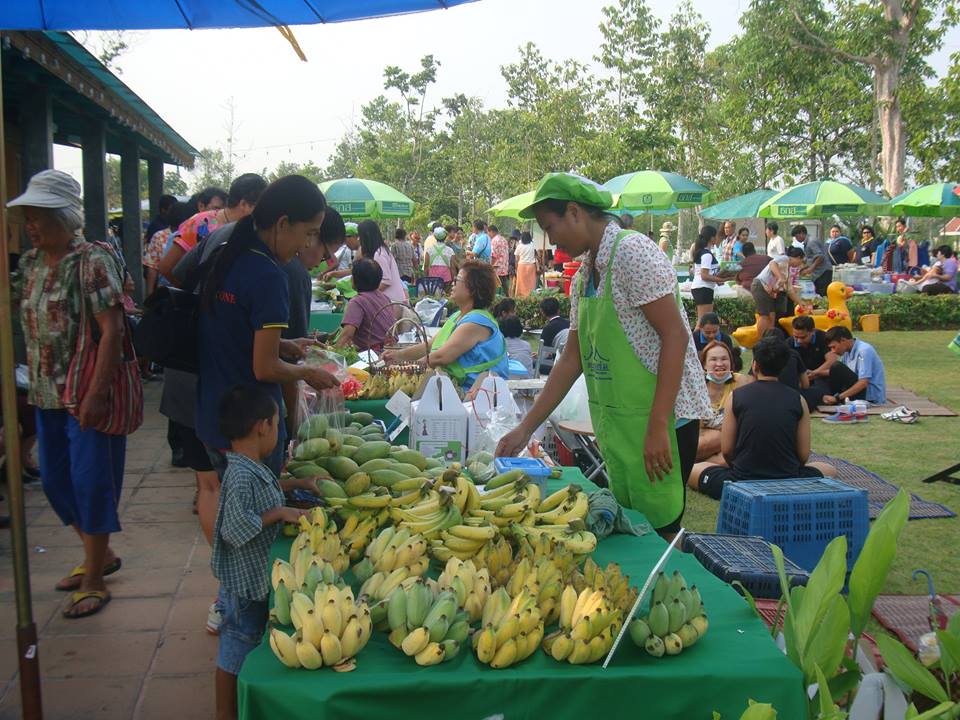 10958_สินค้าที่จำหน่าย 1.jpg