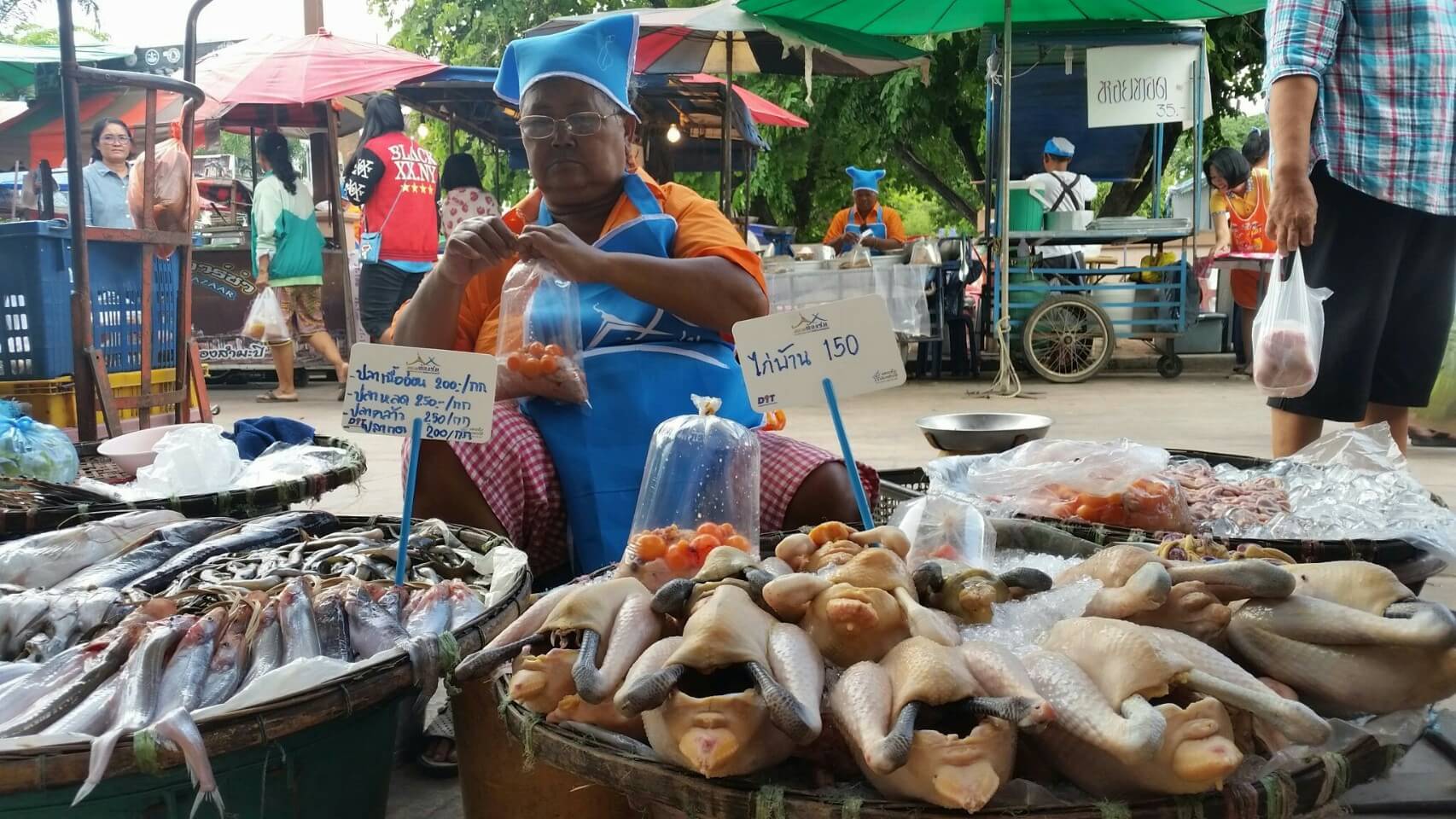 21753_แผงค้า อาหารสด 1.jpg