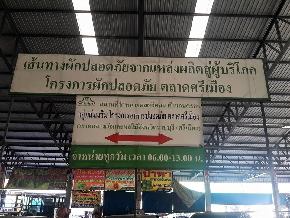 22866_ผักปลอดภัย.jpg