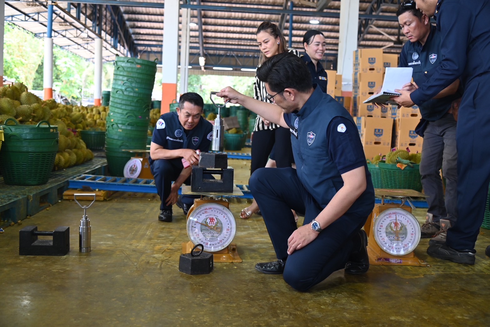 พาณิชย์สั่งลุย ตรวจเครื่องชั่ง ป้ายราคารับซื้อผลไม้ รักษาความเป็นธรรมเกษตรกร 