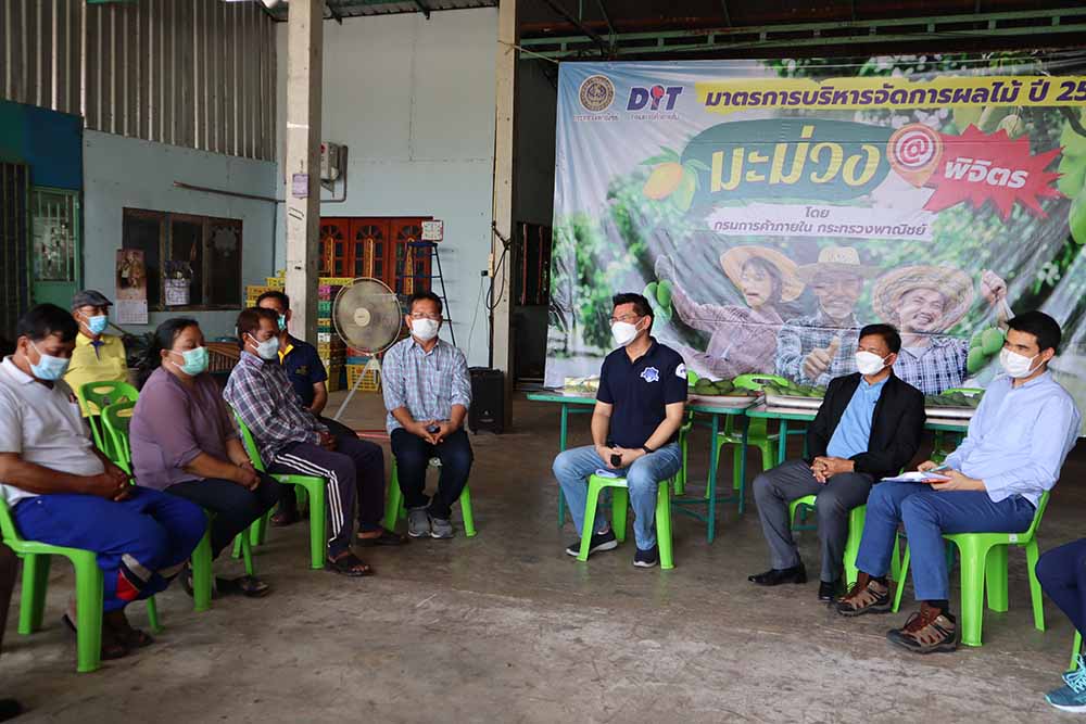 พาณิชย์ติดตามการรับซื้อมะม่วงพิจิตร
