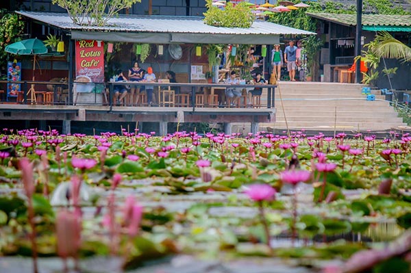 46391_บรรยากาศทุ่งบัวแดง.jpg