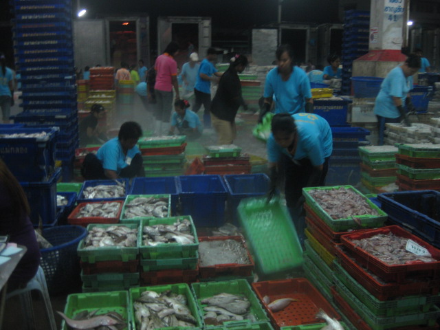 22072_คัดอาหารทะเล.jpg