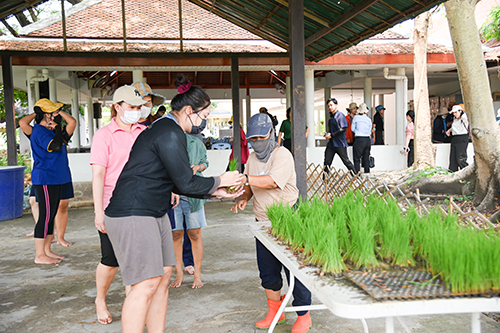 โครงการสืบสานพระปณิธานกษัตริย์เกษตรตามหลักเศรษฐกิจพอเพียง