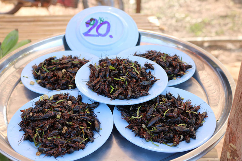 46078_ร้านขาย แมงทอด.jpg