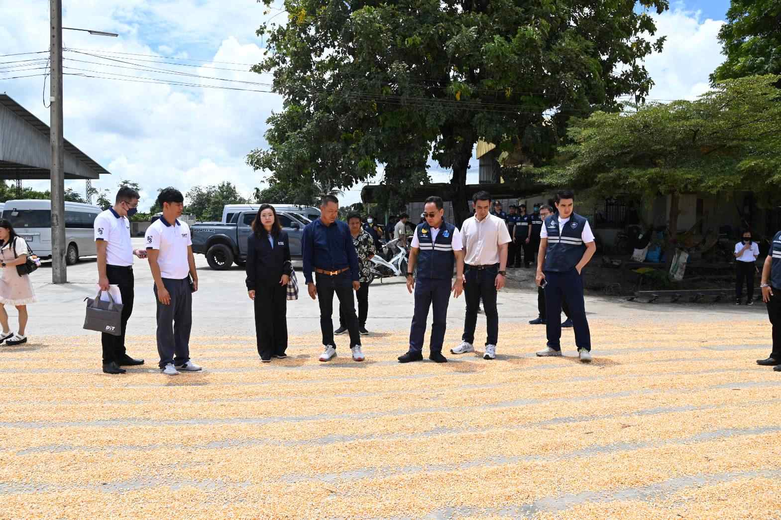 DIT ลงพื้นที่ตรวจสอบติดตามสถานการณ์การรับซื้อข้าวโพดเลี้ยงสัตว์