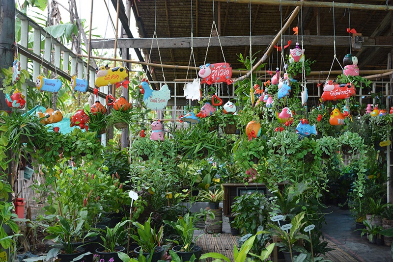 33594_ร้านต้นไม้.JPG