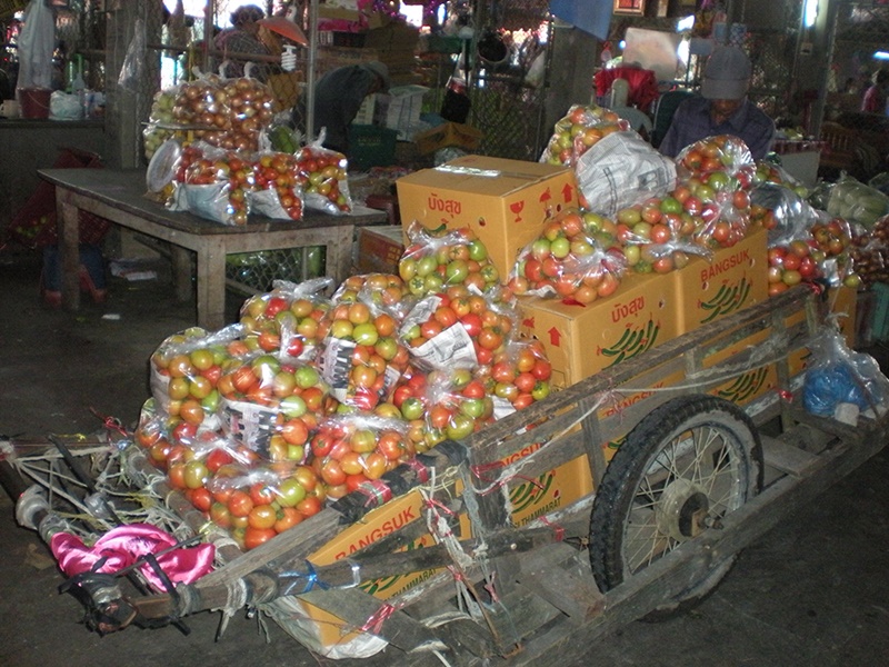 22103_มะเขือเทศ.JPG